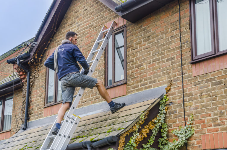 Roof Cleaning Springfield